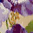 Предпросмотр схемы вышивки «анютины глазки» (№167953)