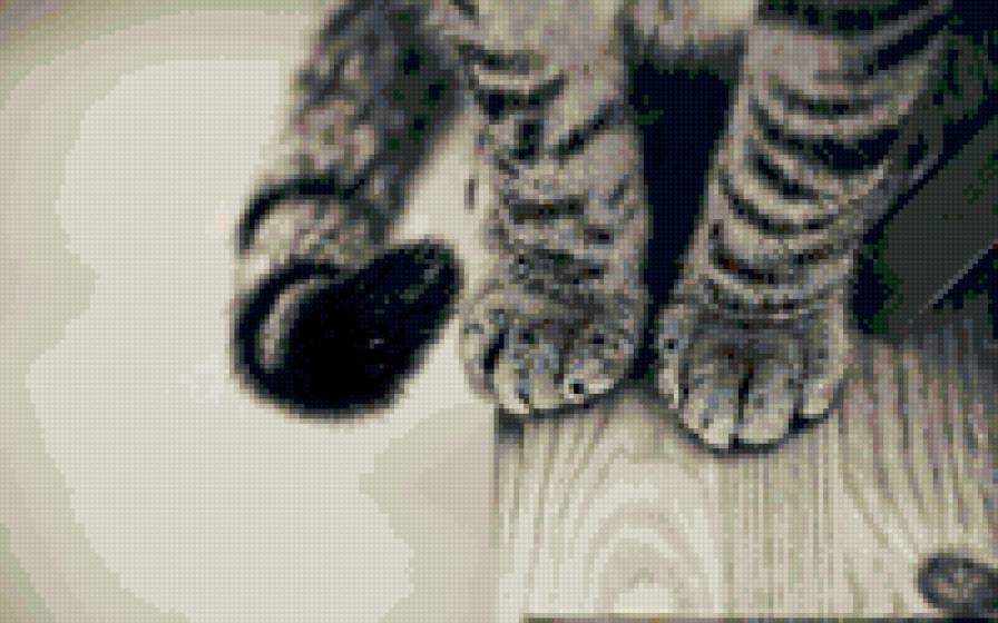 лапки - предпросмотр