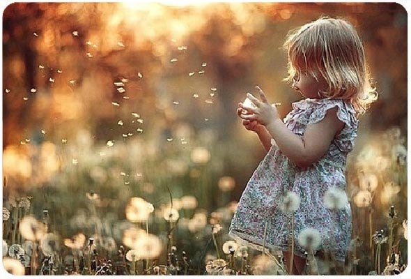 Одуванчики - оригинал