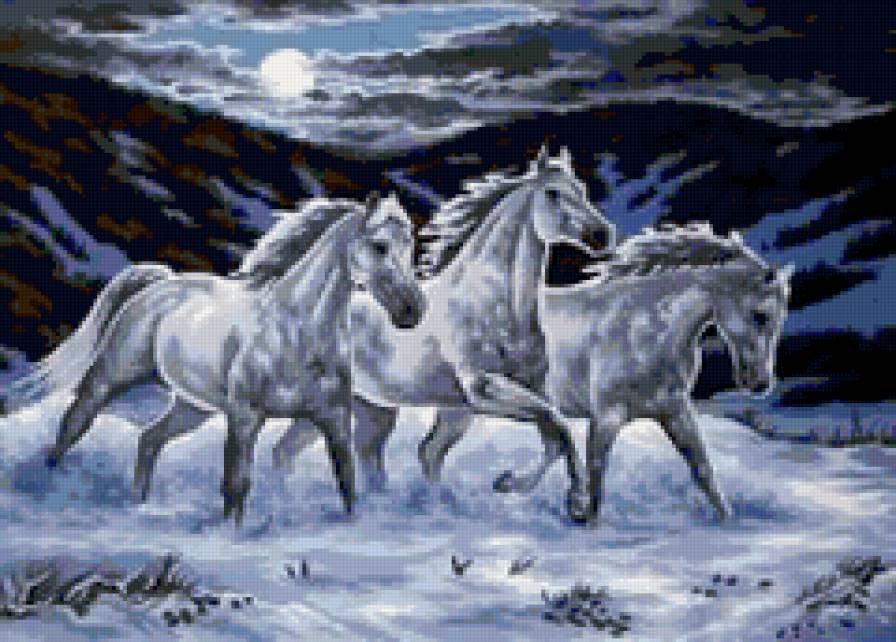 Лунная ночь - предпросмотр