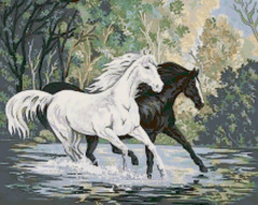 Брызги воды - предпросмотр