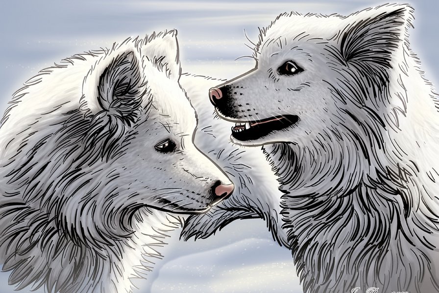 №168205 - оригинал