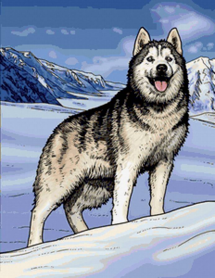 №168209 - предпросмотр