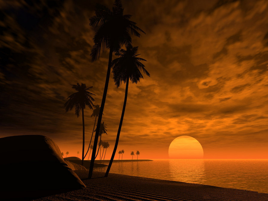 Закат - закат, пальмы, море, лето - оригинал