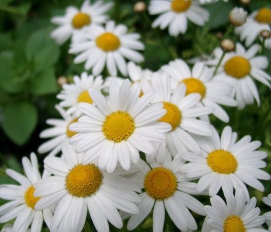 №168236 - оригинал