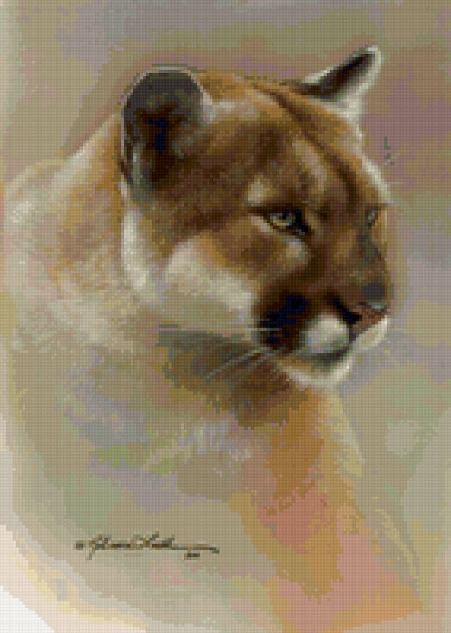 Пума - кошки, животные - предпросмотр