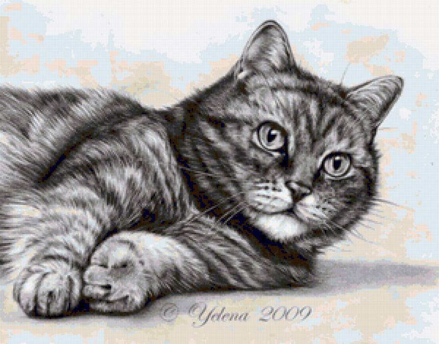 КИСЯ - предпросмотр