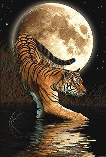 Лунный тигр - ночь. луна, тигр, животные - оригинал