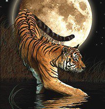 Схема вышивки «Лунный тигр»