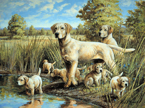 собаки - собака, семья, щенки - оригинал