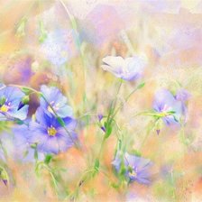 Схема вышивки «№168702»