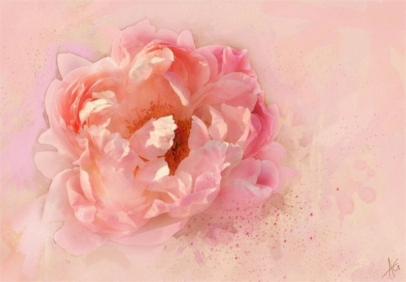 №168722 - цветы - оригинал