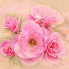 Схема вышивки «шиповник»