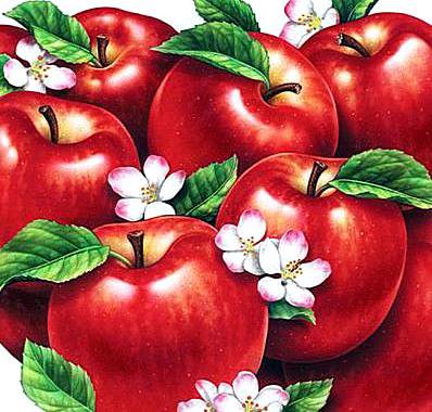 Яблочки - яблочки - оригинал
