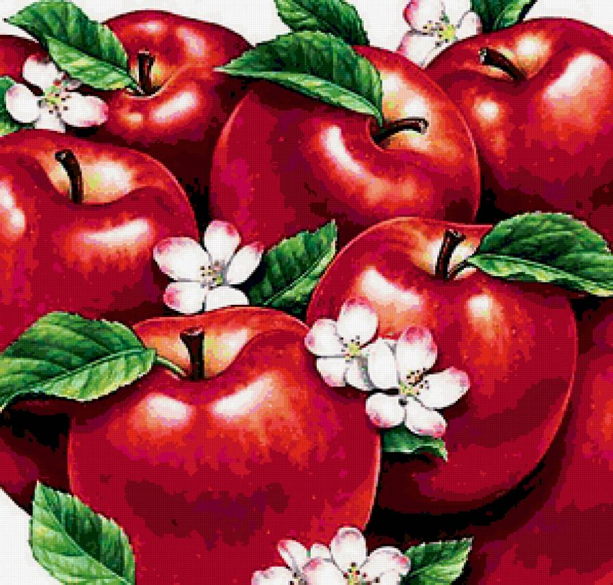 Яблочки - яблочки - предпросмотр