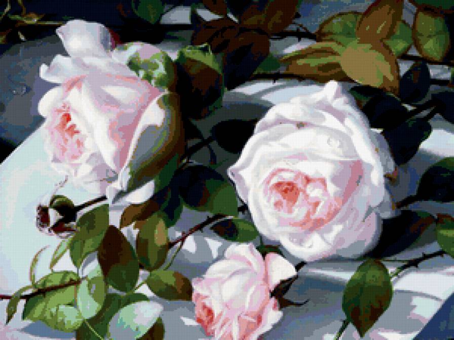 РОЗЫ-МЕЧТА ДЕВЧЁНКИ - роза, цветы - предпросмотр