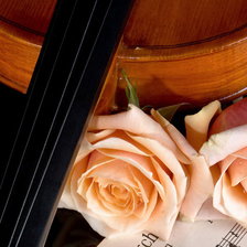 Оригинал схемы вышивки «музыка и розы» (№168945)