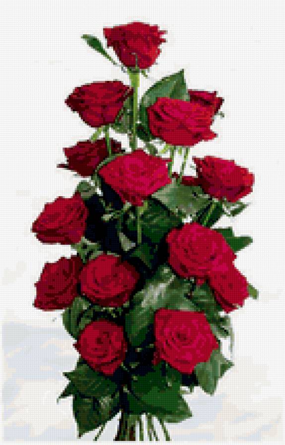 розы - цветы, букет.розы - предпросмотр