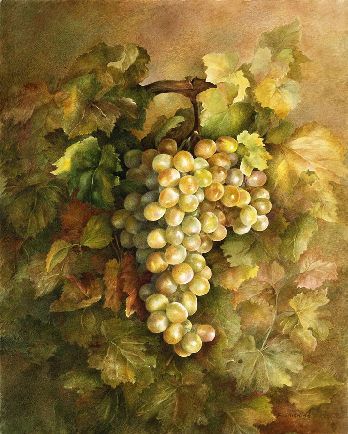 Виноградная гроздь - виноград, натюрморт, еда - оригинал