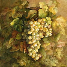 Оригинал схемы вышивки «Виноградная гроздь» (№169170)
