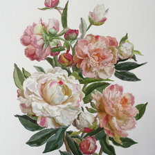 Схема вышивки «пионы»