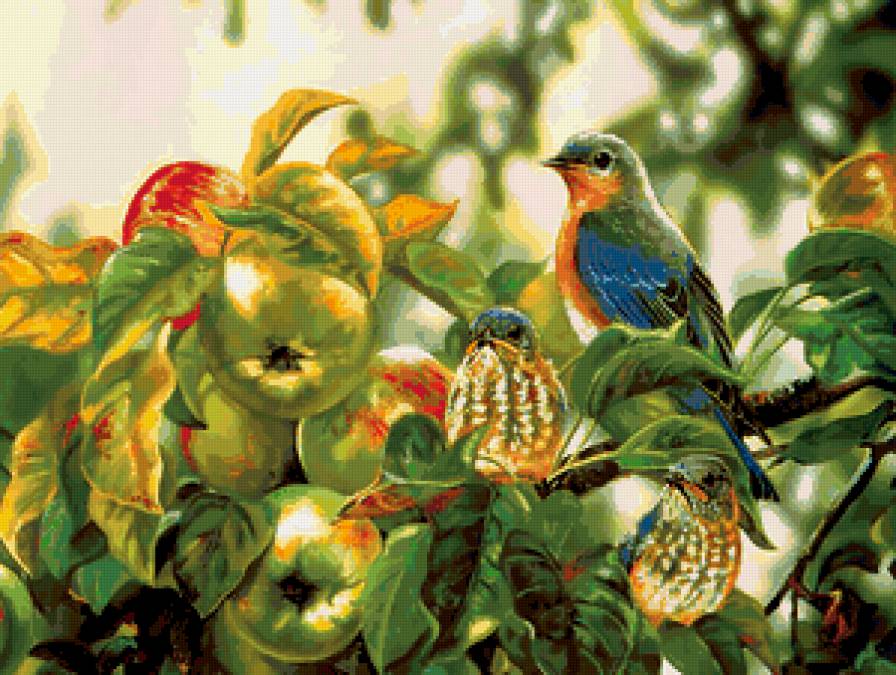 птицы на яблоне - птицы, яблоня - предпросмотр