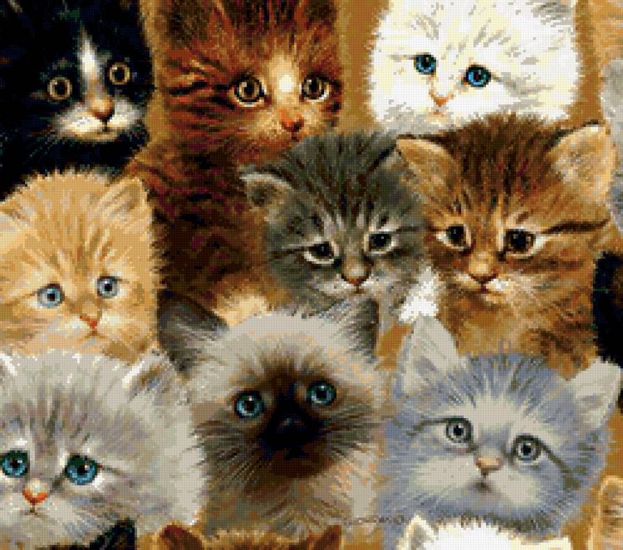 Котята - животные, звери, кошки, подушка, котята - предпросмотр
