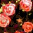 Предпросмотр схемы вышивки «Beauty Roses» (№169284)