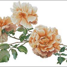 Схема вышивки «Розы.»