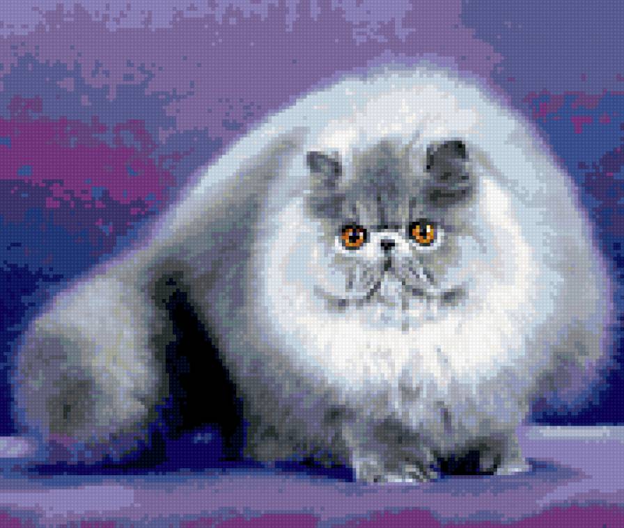 перс экзот экстремал. персидский кот. персидская сибирская длинношерстная. перс 6. персидские котята.