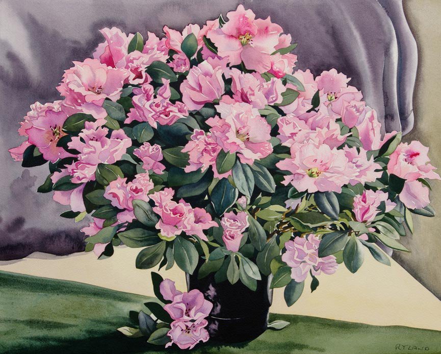 Серия "Букет" - букет, азалии, цвет - оригинал