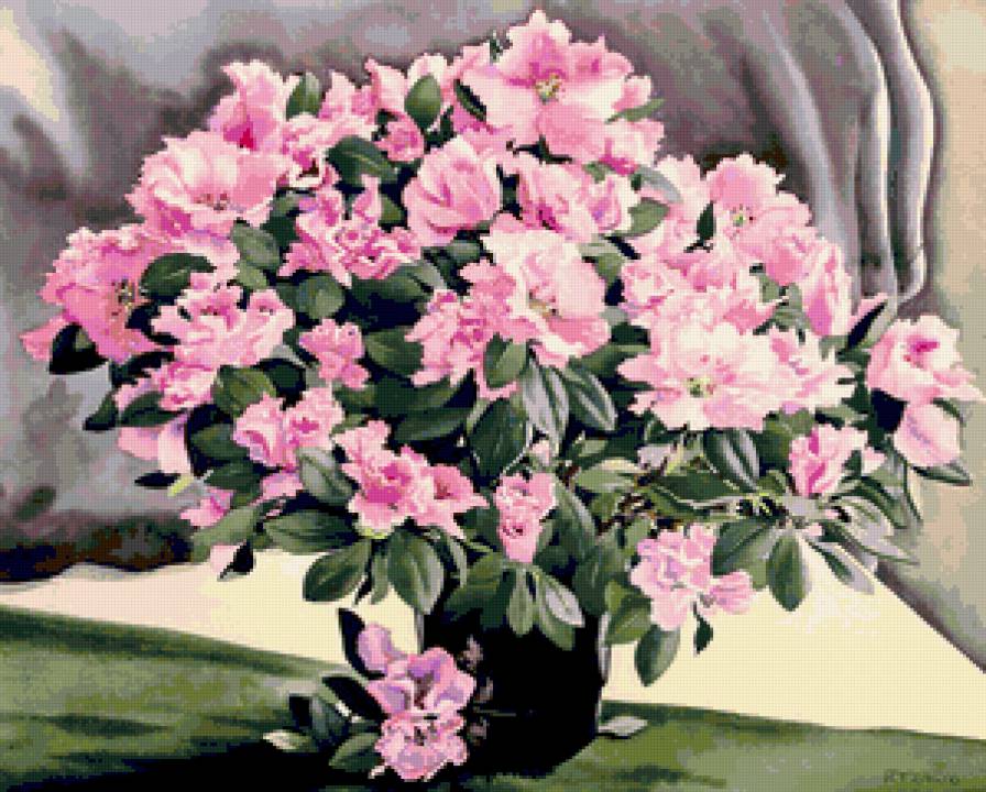 Серия "Букет" - букет, цвет, азалии - предпросмотр