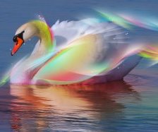 Схема вышивки «Радужный лебедь»