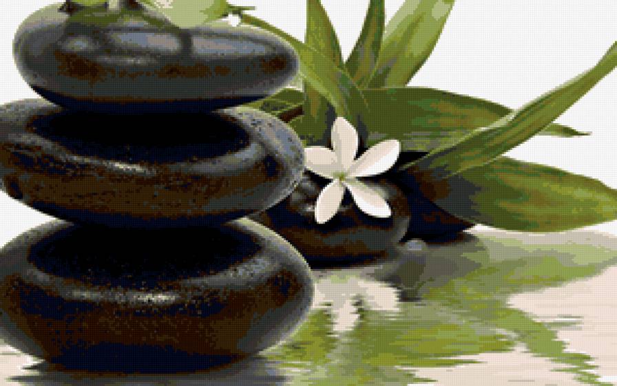 123 - цветы - предпросмотр