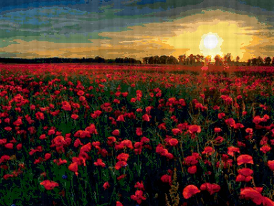 №169740 - искусство, живопись, маки, природа, цветы - предпросмотр