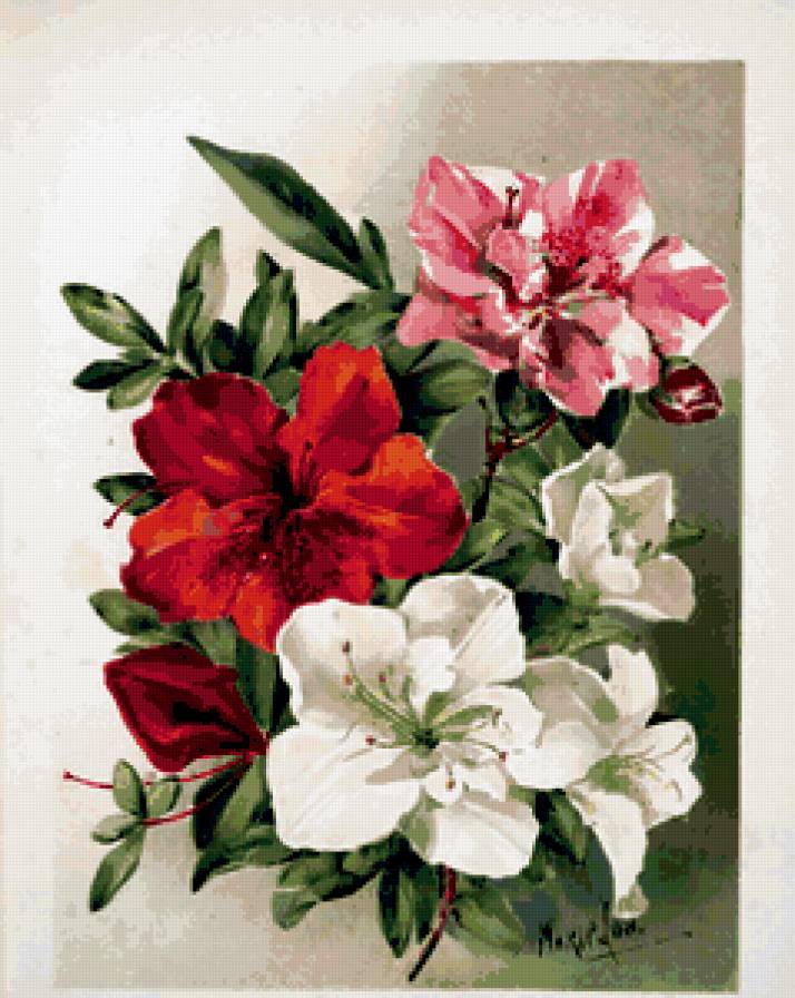 букетик - букет.цветы - предпросмотр