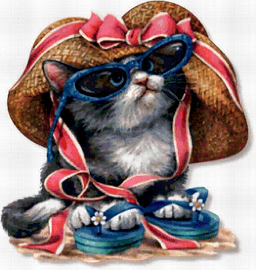 Модный кот - кот, мода - предпросмотр