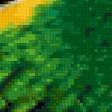 Предпросмотр схемы вышивки «green parrot» (№170125)