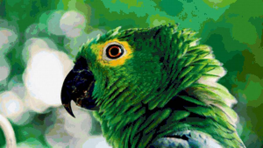 green parrot - попугай, parrot, птицы, птица - предпросмотр