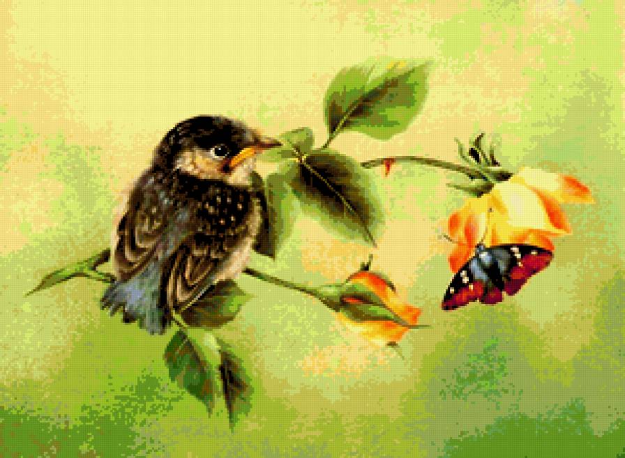 Nature's Beauty - butterfly, роза, bird, птицы, цветок, птица, розы, flower - предпросмотр