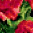 Предпросмотр схемы вышивки «Маки» (№170184)