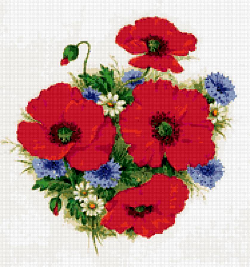 Poppy - цветы, полевые цветы, мак - предпросмотр