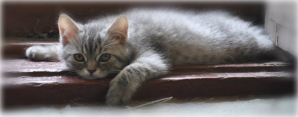 №170673 - оригинал