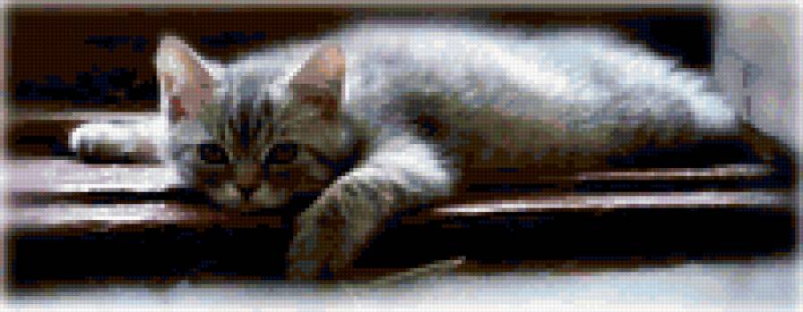 №170673 - предпросмотр