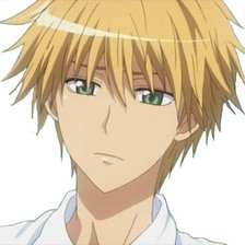 Схема вышивки «Усуи(без фона)»