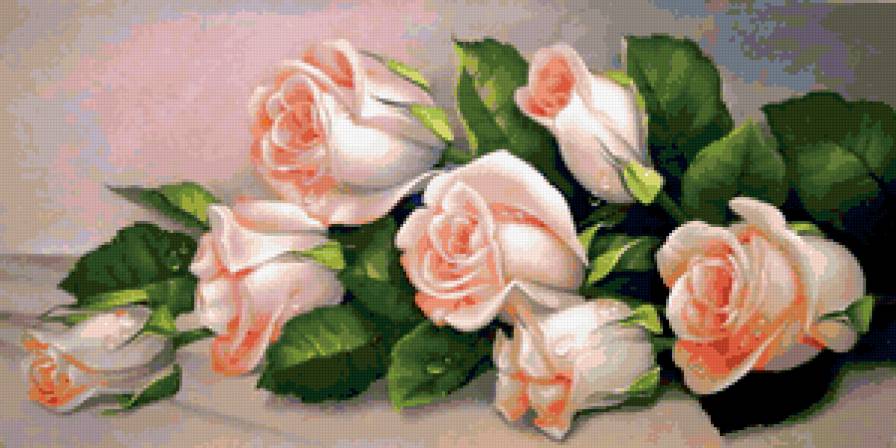 кремовые розы - цветы - предпросмотр