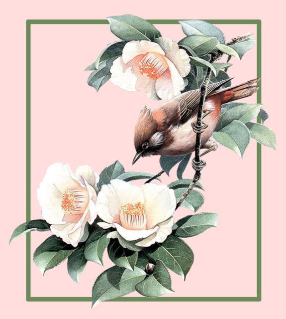 птица на цветущей ветке - птица - оригинал