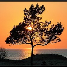 Схема вышивки «№170750»