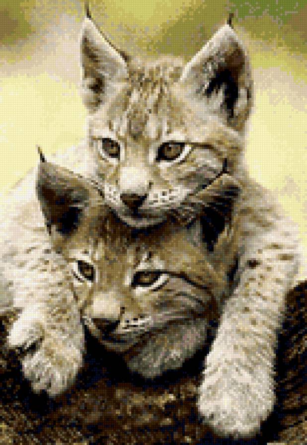 №170822 - предпросмотр