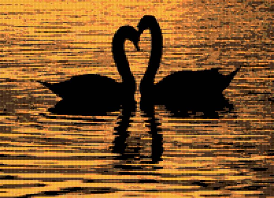 лебединая пара - предпросмотр